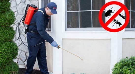Çardak Tahtakurusu İlaçlama böcek ilaçlama ve haşere kontrolü — ilaclama-tr.com